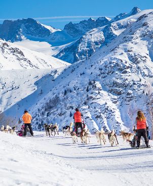 Balade en chiens de traîneau : vivez une expérience unique en montagne